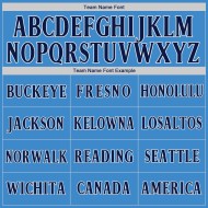 Maillot de baseball bleu marine, blanc et bleu poudre personnalisé authentique Maillot de baseball bleu marine, blanc et bleu poudre personnalisé authentique