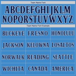 Maillot de baseball bleu marine, blanc et bleu poudre personnalisé authentique Maillot de baseball bleu marine, blanc et bleu poudre personnalisé authentique
